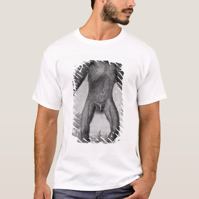 Chimpanzee, 1699 T-Shirt (Front)