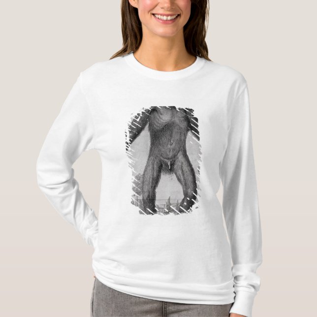 Chimpanzee, 1699 T-Shirt (Front)