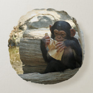 Chimpanzee_2015_0101 Round Pillow
