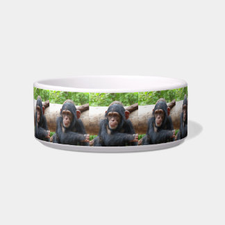 Chimpanzee_2015_0504 Bowl