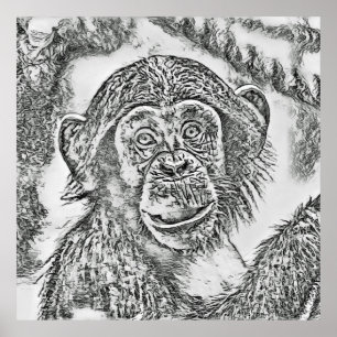 Chimpanzee 20161101 poster