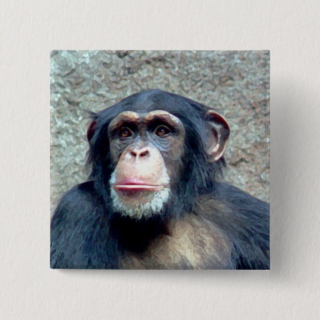Chimpanzee 2 Inch Square Button (Front)