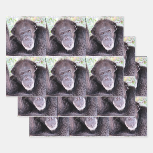 Chimpanzee All Occasion Wrapping Paper Sheet (Set)