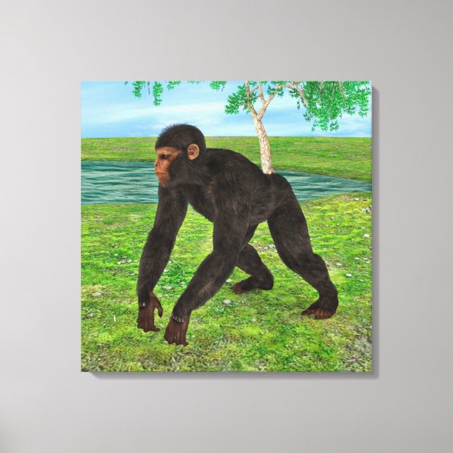 Chimpanzee Canvas Print (Front)