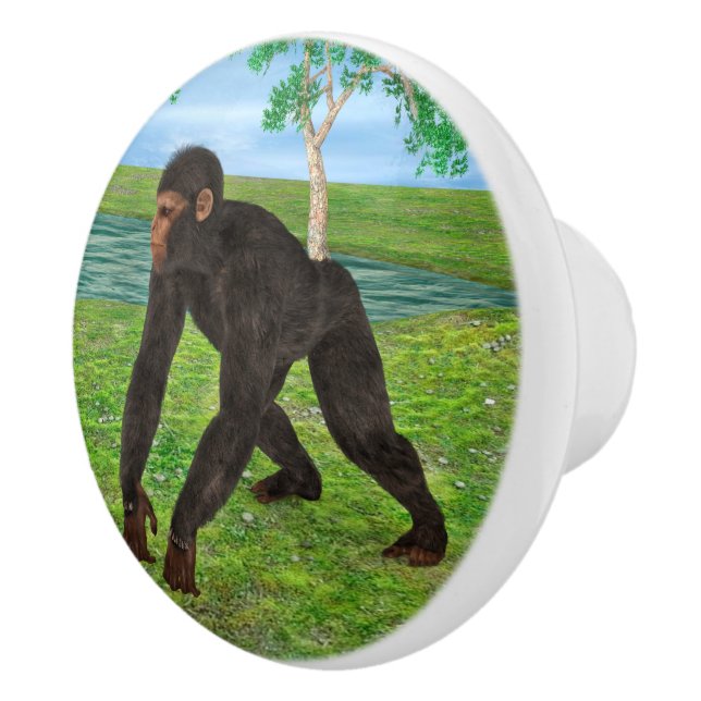 Chimpanzee Ceramic Knob (Right)