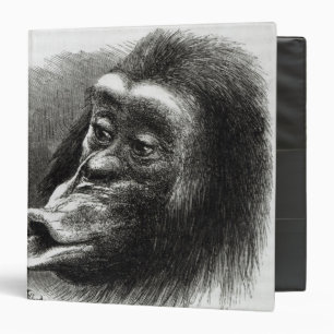 Chimpanzee Disappointed and Sulky Binder