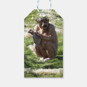 CHIMPANZEE GIFT TAGS