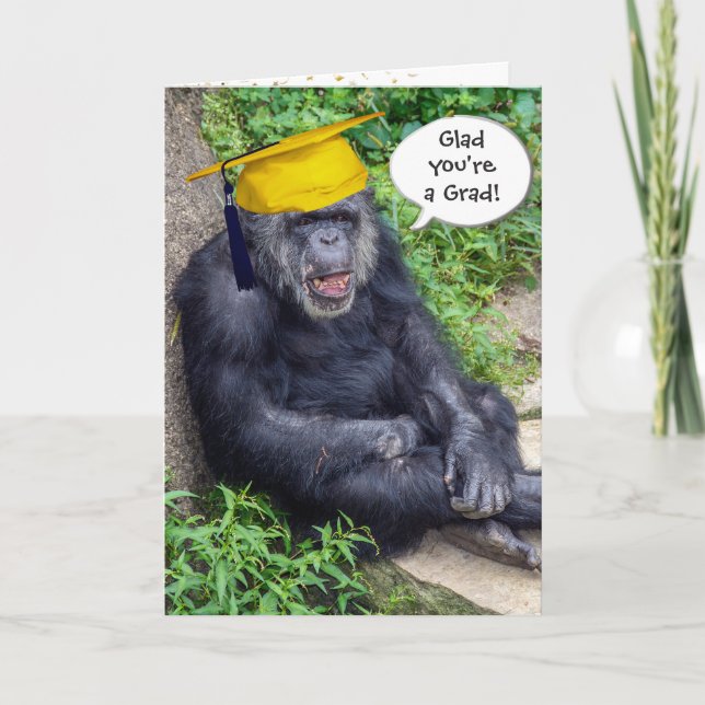 Chimpanzee Graduate with Gold Cap Card (Front)