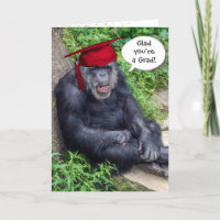 Chimpanzee Graduate with Red Cap