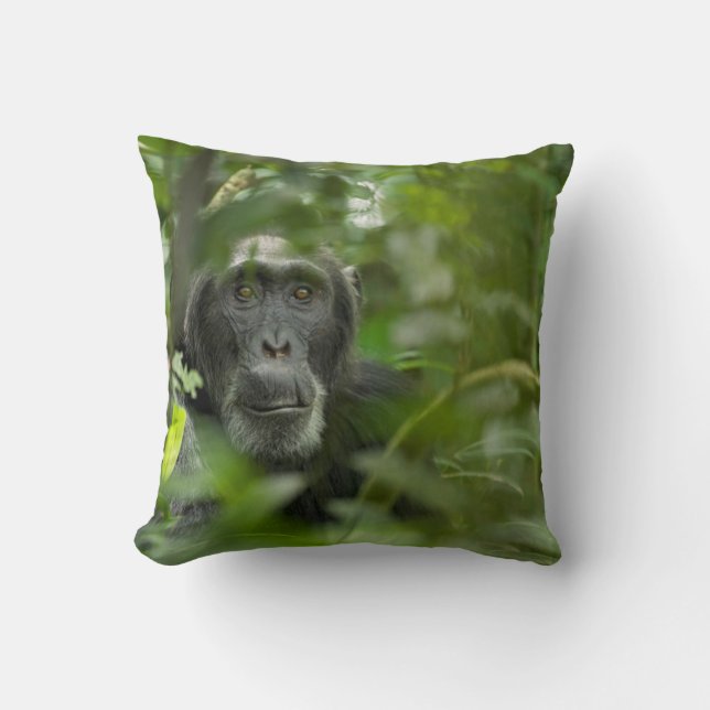 Chimpanzee Hidden Amongst Vegetation Throw Pillow (Front)