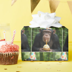 Chimpanzee Holding a Birthday Cupcake Wrapping Paper