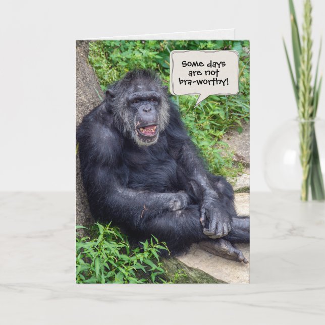chimpanzee humor for have a nice day card (Front)