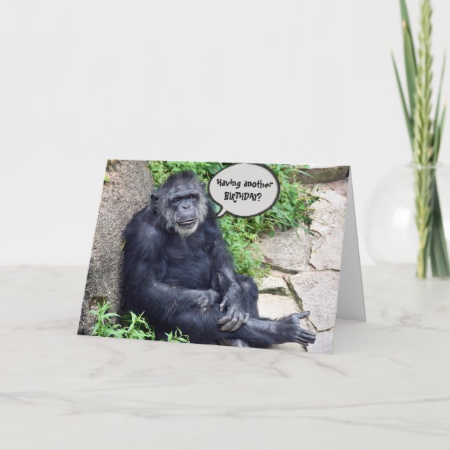 Chimpanzee Humourous Birthday Card (Front)