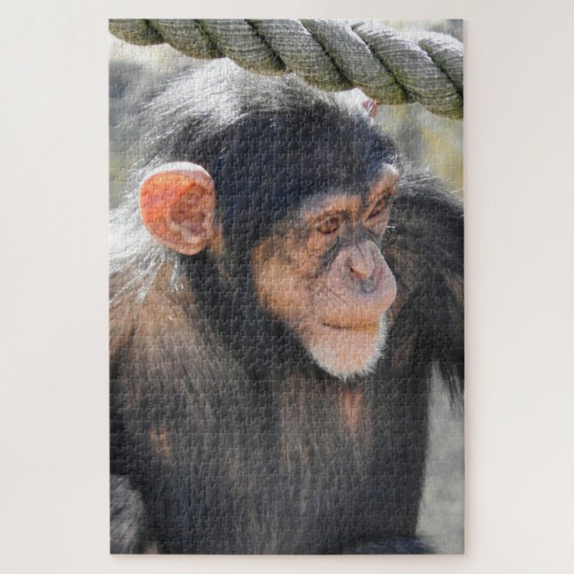 Chimpanzee Jigsaw Puzzle (Vertical)