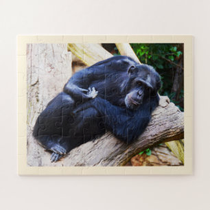 Chimpanzee Jigsaw Puzzle