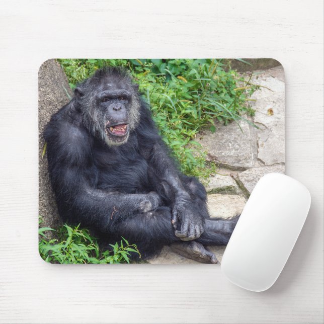 Chimpanzee Leaning On Rock Mouse Pad (With Mouse)