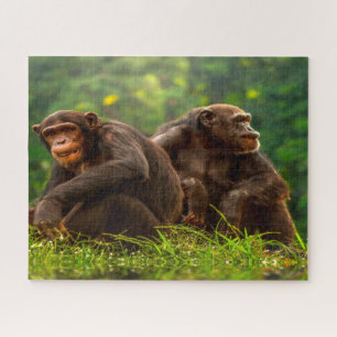 Chimpanzee Monkey. Jigsaw Puzzle