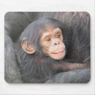 Chimpanzee Mouse Pad