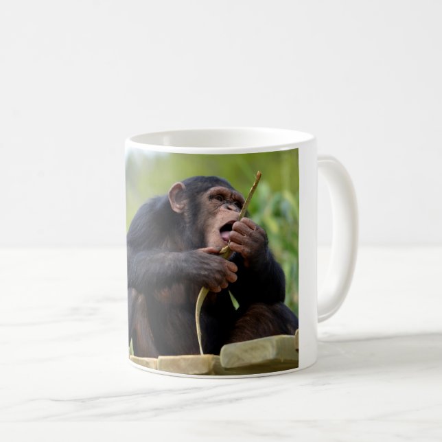 Chimpanzee on plank and eating a bark tree postcar coffee mug (Front Right)
