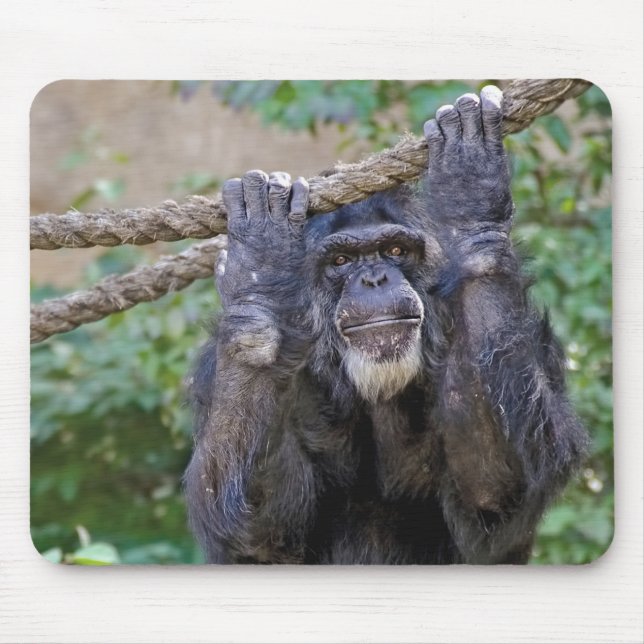 Chimpanzee on rope mouse pad (Front)