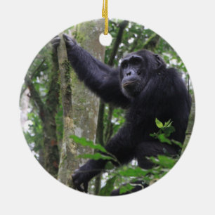 Chimpanzee Ornament