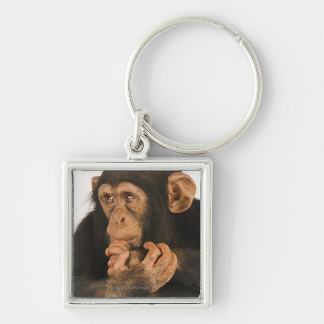 Chimpanzee (Pan troglodytes). Young playfull 2 Keychain (Front)