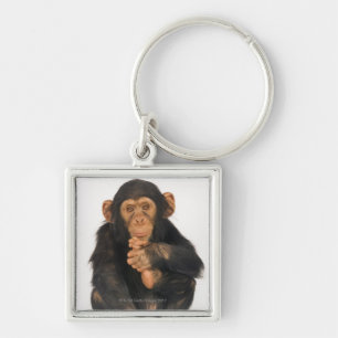 Chimpanzee (Pan troglodytes). Young playfull Keychain