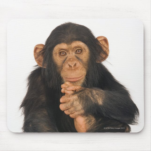 Chimpanzee (Pan troglodytes). Young playfull Mouse Pad (Front)