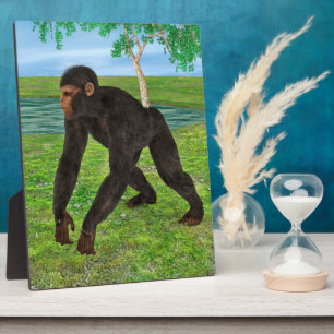 Chimpanzee Plaque