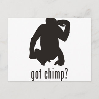 Chimpanzee Postcard