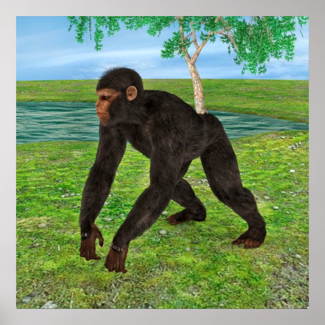 Chimpanzee Poster (Front)