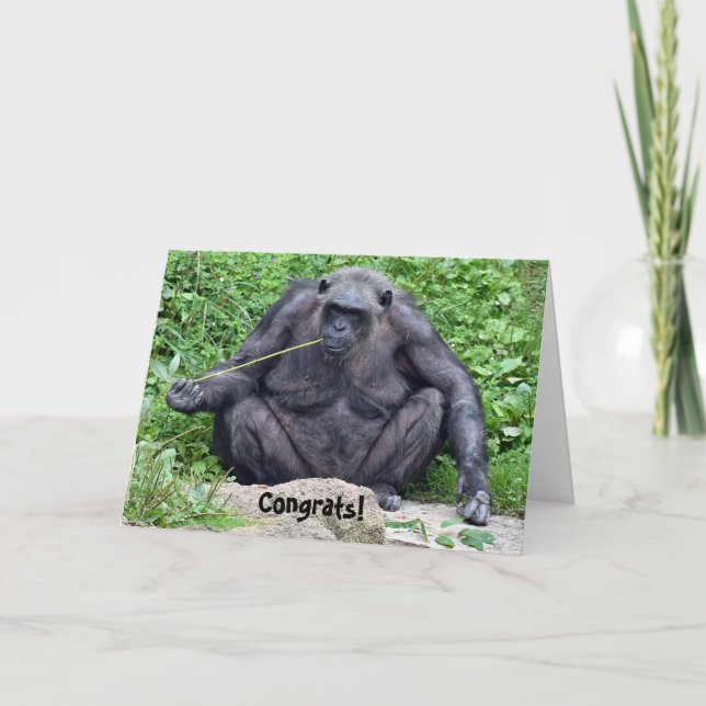 Chimpanzee Retirement Humour Card (Front)