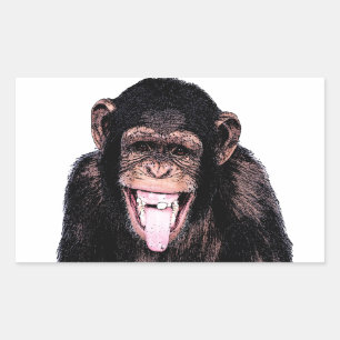 Chimpanzee Sticker