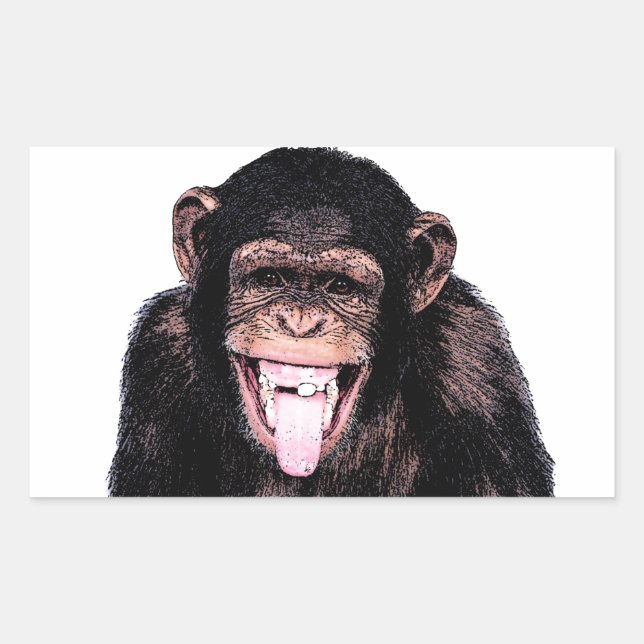 Chimpanzee Sticker (Front)