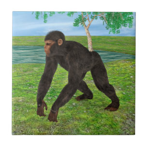 Chimpanzee Tile