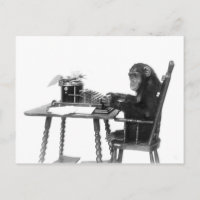 Chimpanzee typing