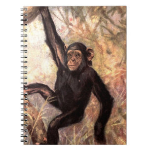 chimpanzeehangingintree002_original notebook