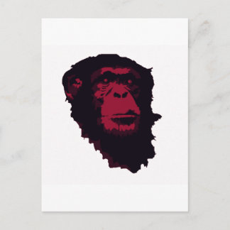 CHIMPANZEES ARE AMAZING POSTCARD