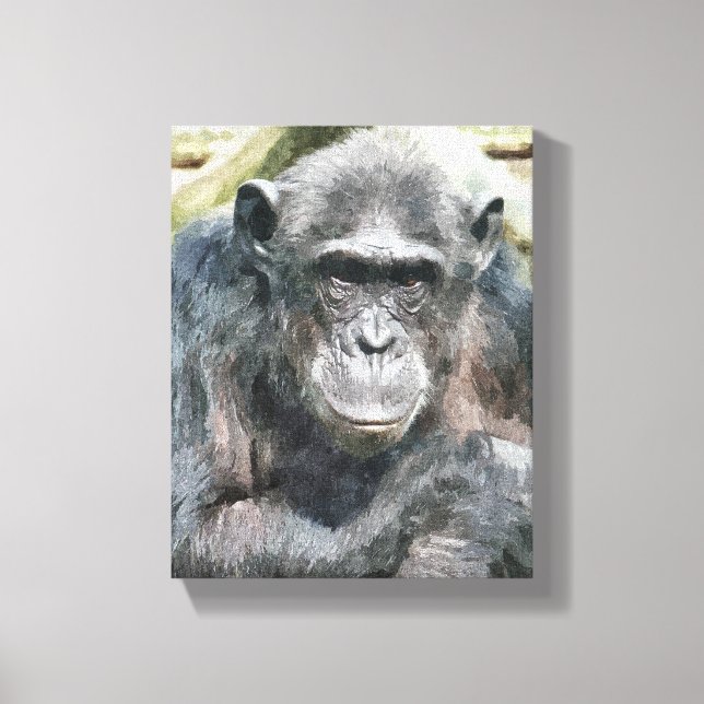 CHIMPANZEES CANVAS PRINT (Front)