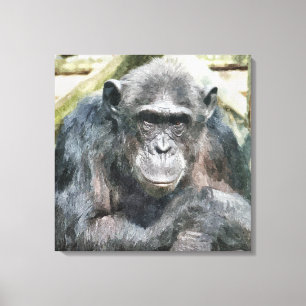 CHIMPANZEES CANVAS PRINT
