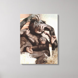 CHIMPANZEES CANVAS PRINT