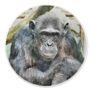 CHIMPANZEES CERAMIC KNOB