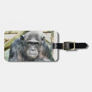 CHIMPANZEES LUGGAGE TAG