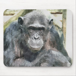 CHIMPANZEES MOUSE PAD
