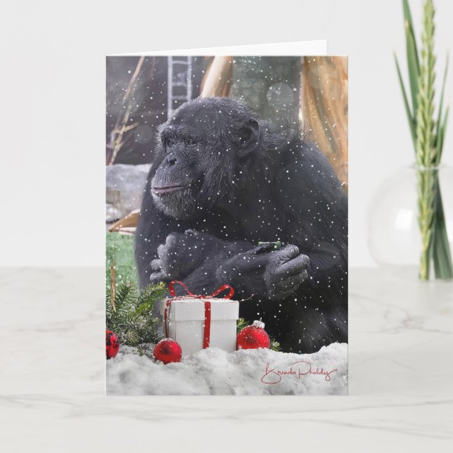Chimpanzés avec la joie de Noël ! Carte blanche 5x (Devant)
