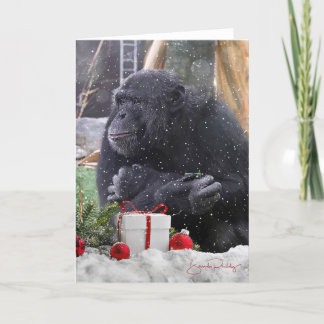 Chimpanzés avec la joie de Noël ! Carte blanche 5x