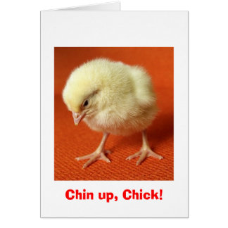 Chin up, Chick!