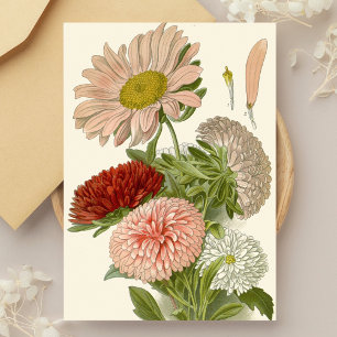 China Asters – Exquisite Vintage Floral Botanical  Postcard