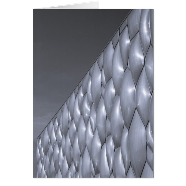 China, Beijing. National Aquatics Centre (Front)