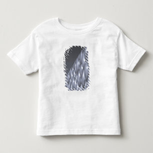 China, Beijing. National Aquatics Centre Toddler T-shirt